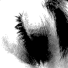 v�jdi